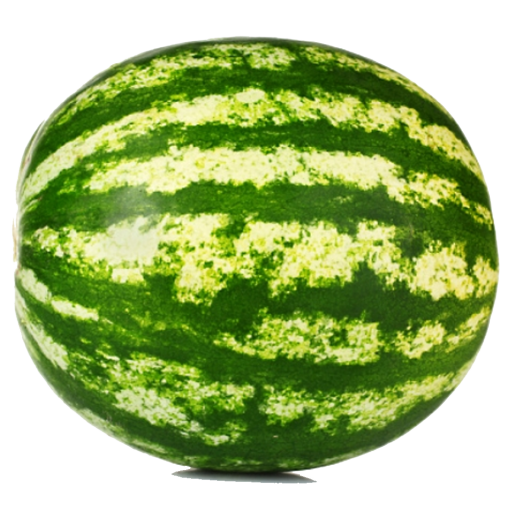 Karpuz Fidesi